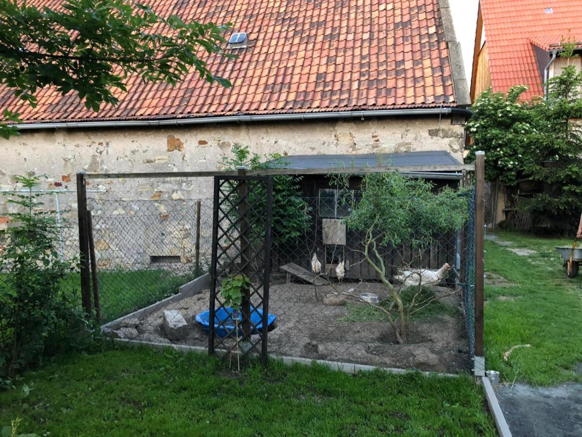 Ferienwohnung Gans Auguste Dohna Exterior photo